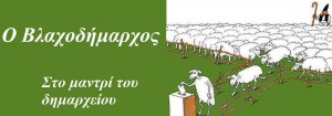 sheep-voting2-2